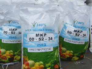 manufacturer of mono potassium phosphate(MKP 0-52-34)